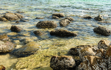 Texture of water and the rock