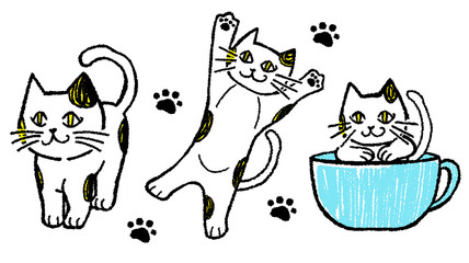 ネコのキャラター