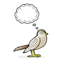 cartoon garden bird with thought bubble