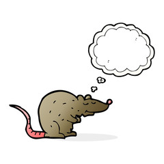 cartoon rat with thought bubble