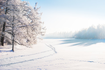 Winter park in snow