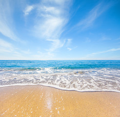 beach and tropical sea