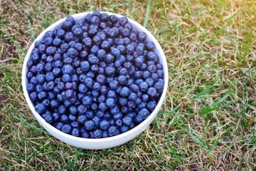 A bowl of blueberries on grass