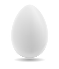 Egg on a white background.