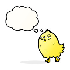 funny cartoon bird with thought bubble