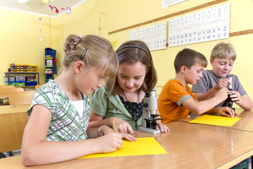 Children in a yellow classroom during a lesson in biology. They are working with microscope for scientific methods.