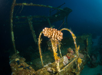Fototapeta na wymiar Glassboat wreck