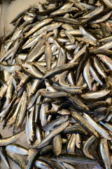 Sardines en vrac 