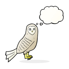 cartoon owl with thought bubble