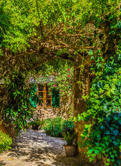 Fototapety  Idylliczny widok na romantyczny ogród i okno śródziemnomorskiego domu