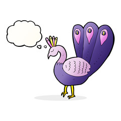 cartoon peacock with thought bubble