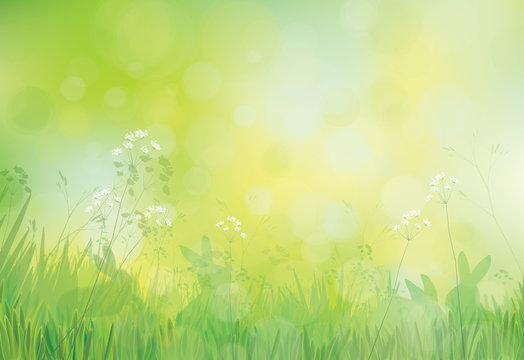 Vector rabbits in grass, spring nature background.