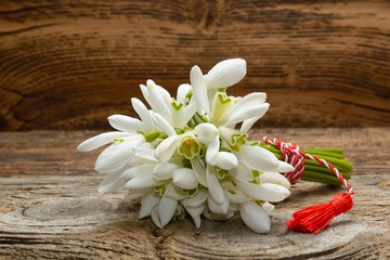 Bouquet of snowdrops on wooden background