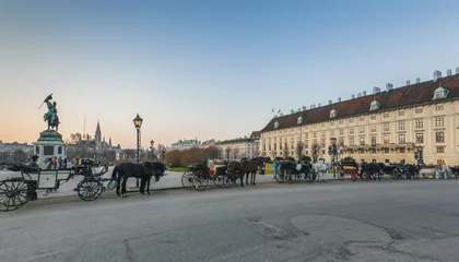 Foto op Plexiglas Vienna, Austria.  Heldenplatz. Heroes Square. Pleasure carriage horses. © naumenkophoto