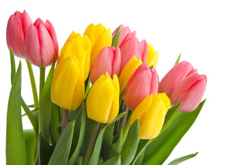 Rote und gelbe Tulpen