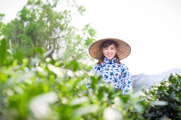 beautiful Asian girl in tea plantation