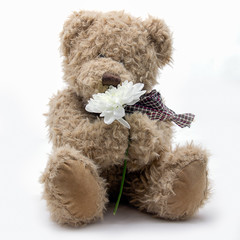 Fluffy teddy bear on white background