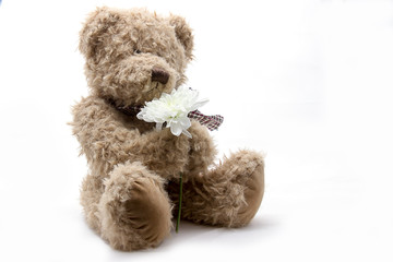 Fluffy teddy bear on white background