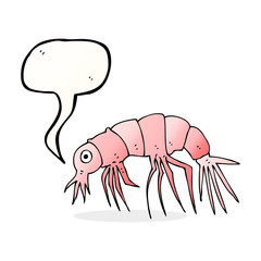 cartoon shrimp with speech bubble