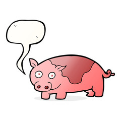 cartoon pig with speech bubble