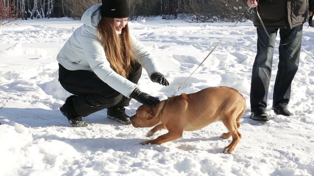 Beautiful woman playing with the dog outdoors in winter landscape