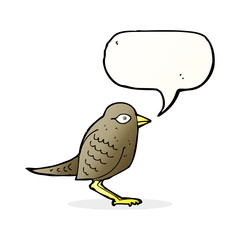 cartoon garden bird with speech bubble