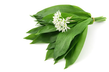 Bunch of wild garlic with leaves and flowers. © lcrms