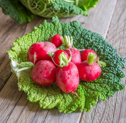savoy cabbage and radish