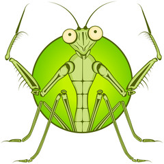 Cartoon character Mantis.
