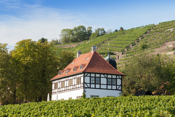 Radebeul Hoflößnitz mit Weinbergen