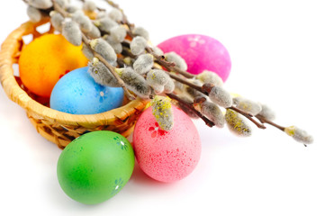 Colorful easter eggs and branches of willow on white background