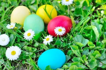 Obraz na płótnie Canvas Colored easter eggs on green grass