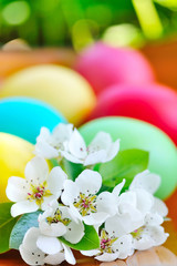 Colored easter eggs with white flowers