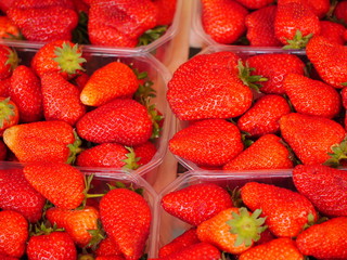 strawberries in plastic bucket