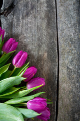purple tulips on wooden surface