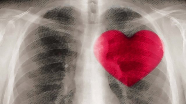 Cartoon x-ray of chest and beating heart. (loop ready file)