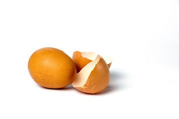Eggs with broken shells on white background.