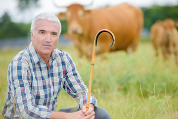Herdsman in field