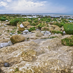 Fototapeta na wymiar Strange rocks and moss in the morning at Seven Sisters