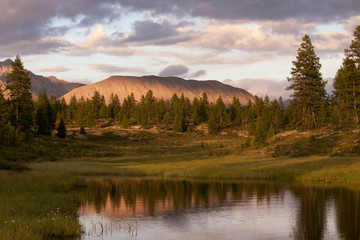 Taiga and mountain with reflection in water. Lake Darpir. Yakutia. Russia.