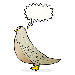cartoon common bird with speech bubble