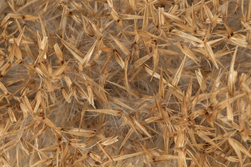 Background from a dry grass