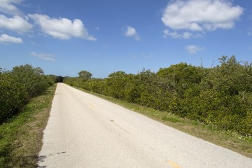 Fototapeta na wymiar Straight road in Florida Everglades