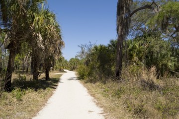 Hiking trail in Boyd Island preserve, Florida