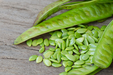 Green Seed White Popinac on wooden table