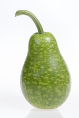 bottle gourd
