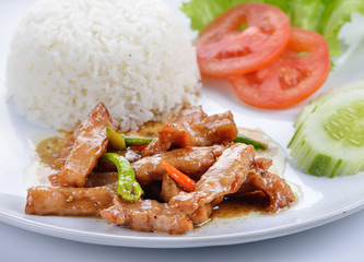 Fried Pork with Rice