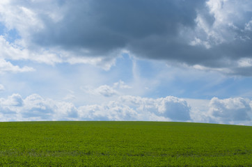 Поле с тучами