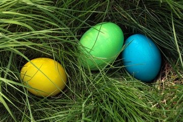 Painted easter eggs in grass/ easter eggs hunt/ easter background