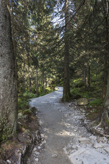 Poland - Tatra National Park in Tatra Mountains, part of Carpath
